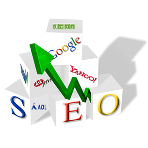 Search engine optimization book