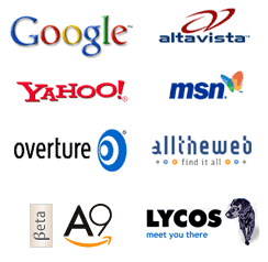 Search engine optimization program